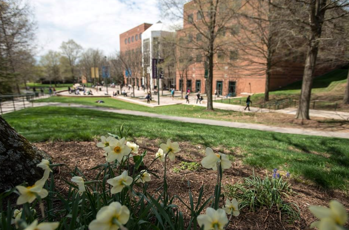 جامعة جورج ميسون